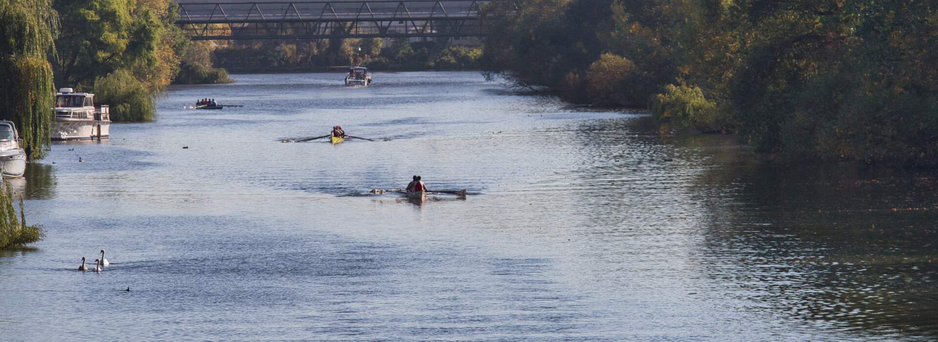 2-Ruderboote-nebeneinander-auf-der-Bille-Matjesregatta