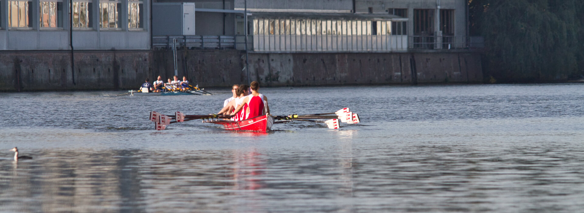 2-Ruderboote-nebeneinander-auf-der-Bille-Matjesregatta